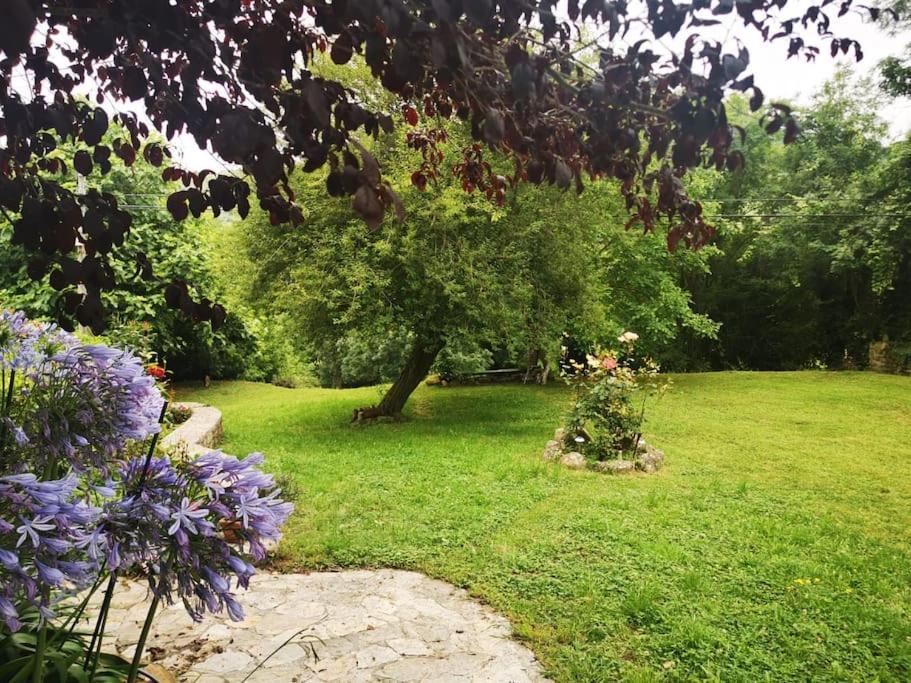 La Flor De Toranzo "Vive Los Valles Pasiegos" Prases Eksteriør billede
